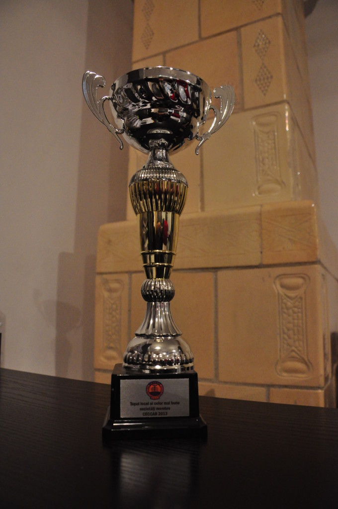 CECCAR 2013